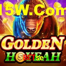 Premium Interface betse